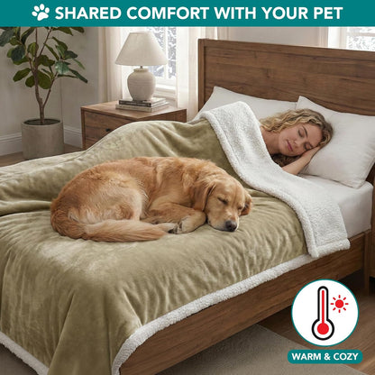 Dog Blanket for Large Medium Pets Cats, 80X60 Twin Size XL, Taupe